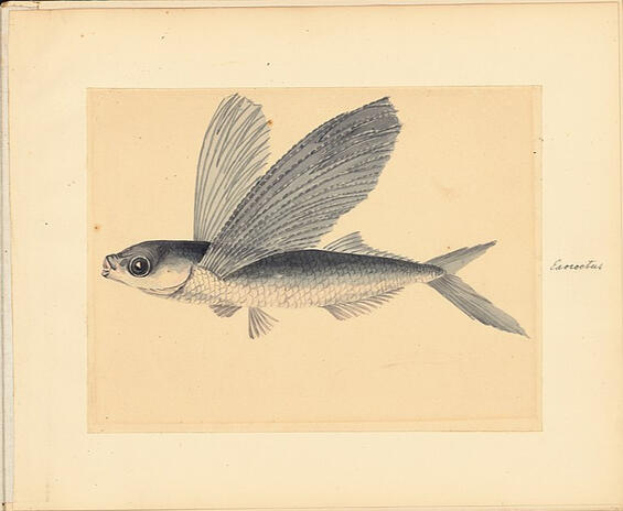 Untitled Wavekin - Artist: Tamira Aldcroft